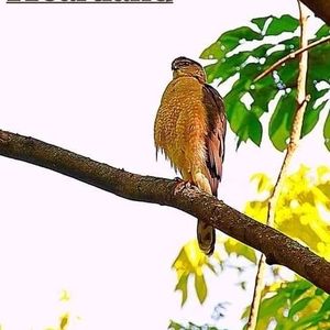 Meet your Posher, Steve